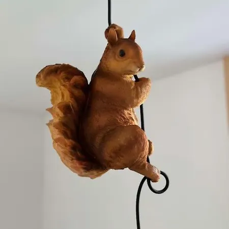 Chalé Stylish W/sauna: Alpine Escape